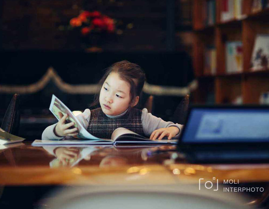 学习力教育研究