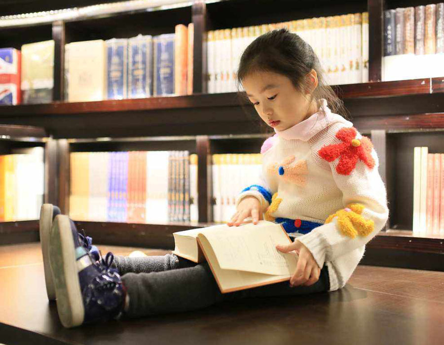 学习力教育研究